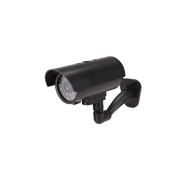 Donec ullamcorper turpis - Image 2